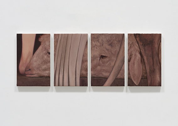 ��ħ�� [â���ڿ� �̹��� ���̿���] 