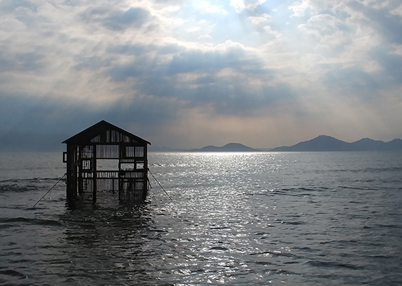 �ۼ��� [�ΰ��� ��-����, ���� ������ �߽�]