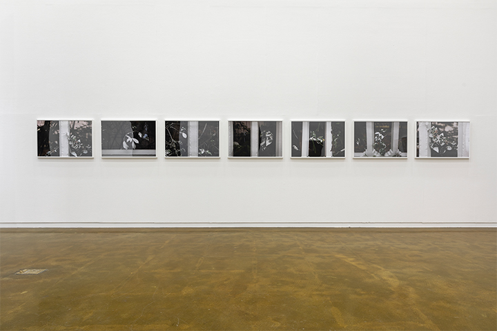 ȼ ,Another White S #1-7,digital print, 61x91cm(each), installation view, 2020