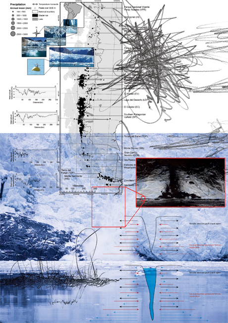 ������ ����