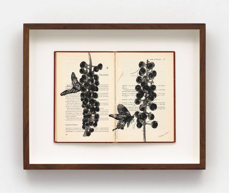 ����Ŵ ����