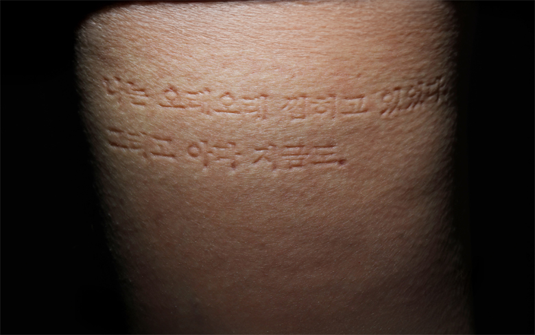 ������ ����