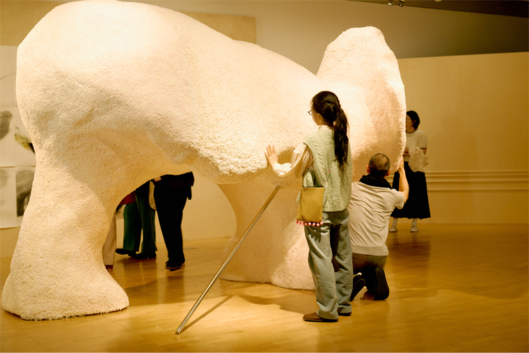 ���� ����